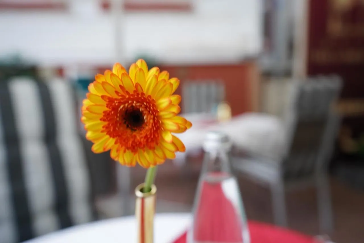 Hotel Villa Oriental & Restaurant Frankfurt am Main